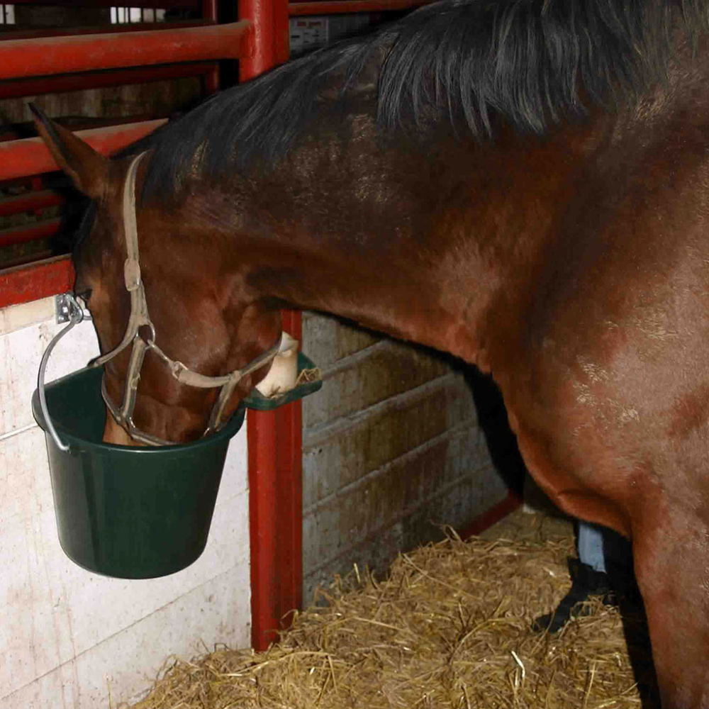 Spainis ar plakanu malu, 17.5 litri